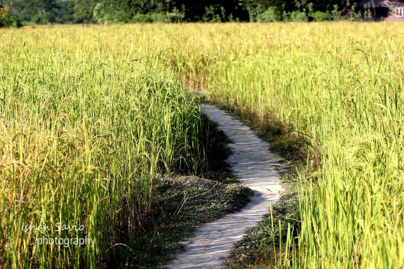 14853039_678836618942172_3968955476196315077_o